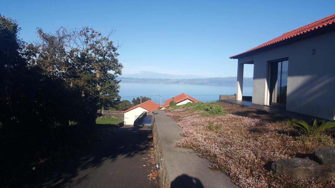 Paim Santo Antonio (Pico Island)